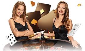 m7spin VIP exclusive live casino high-limit table မြန်မာ premium player